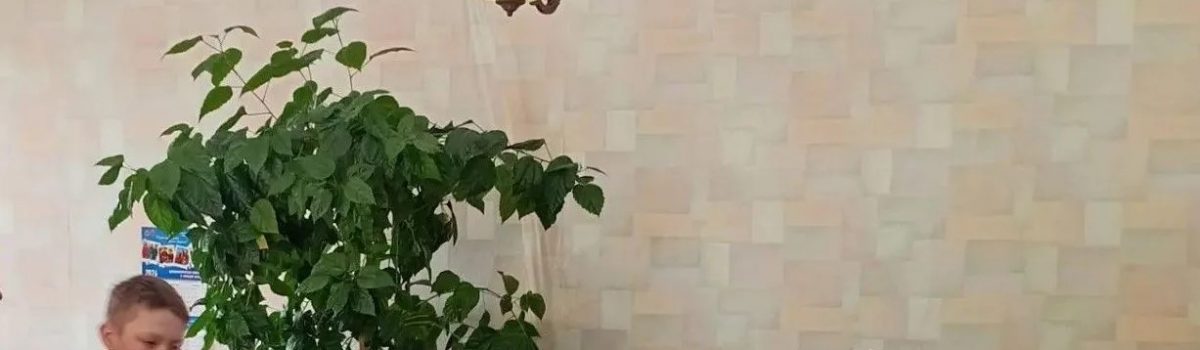 Я здоровье берегу — сам себе я помогу